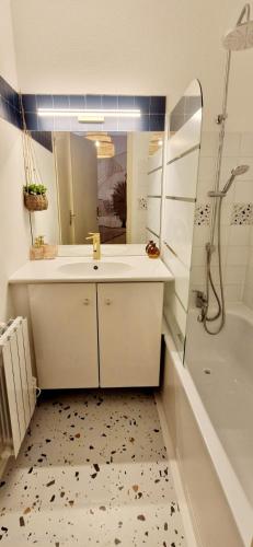 une salle de bain avec un lavabo et une douche dans l'établissement T1bis meublé cozy avec jardin et parking privé, à Toulouse