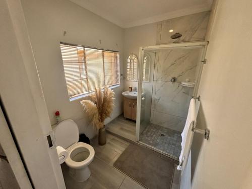a bathroom with a shower and a toilet and a sink at Shamba Self-Catering in Pretoria