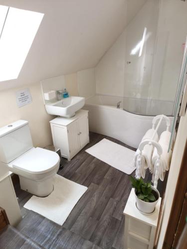 a bathroom with a toilet and a sink and a tub at Cliff Cottage in Kyle of Lochalsh