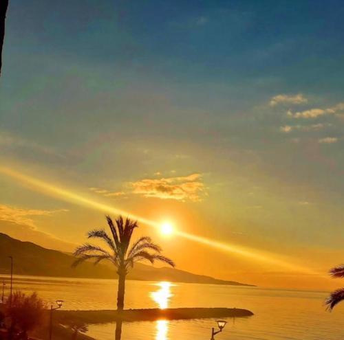 un palmier devant un coucher de soleil dans l'établissement Atelier Sonia, à Roquebrune-Cap-Martin