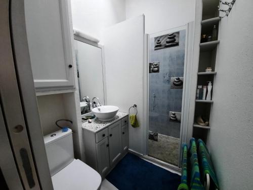 une petite salle de bain avec un lavabo et une douche dans l'établissement La maison de la mer, classée 3 étoiles, à Frontignan