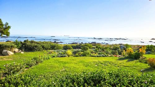 a view of the ocean from a garden at Amore in West Point