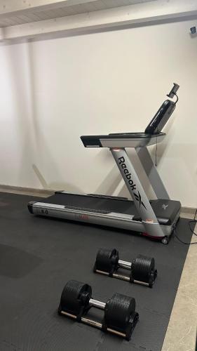 a treadmill and two dumbbells sitting on the floor at Villa Demetrio Ars Hotel in Piacenza