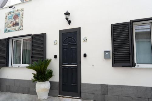 una casa con una puerta negra y una planta en Le Tre Perle Ischia, en Isquia