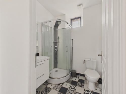 ein Badezimmer mit Dusche und Toilette in der Unterkunft Maison pour 5 avec cour extérieure dans le centre in Saint-Léon-sur-Vézère