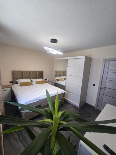 a bedroom with a bed and a potted plant at CityVibe Apartament in Luduş