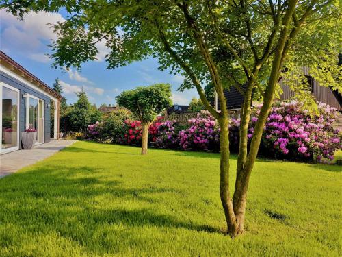 a yard with green grass and pink flowers at Roschi's Gästehaus in Gudow