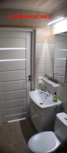 a bathroom with a white sink and a toilet at PrzyLądek 30 in Lądek-Zdrój