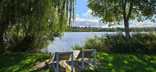 a bench sitting on the grass next to a lake at Les oiseaux du lac in Prémilhat