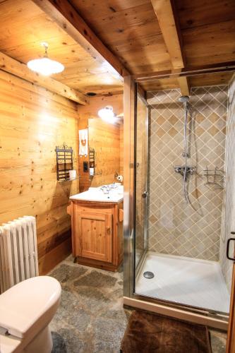 une salle de bain avec douche et lavabo dans l'établissement Chalet d'alpage de Savalin à 2000 mètres d'altitude au lac du Mont-Cenis, à Val Cenis