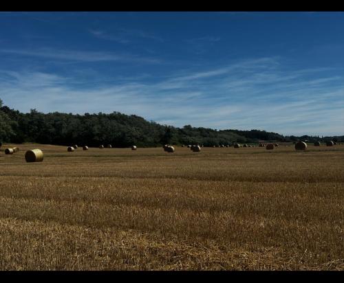 un champ de foin avec balles au loin dans l'établissement Villa B, à Beaurepaire