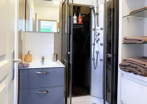 a bathroom with a shower and a sink at Appartement - Terrasse privée, animaux acceptés, parking gratuit, accueil vélo in Saint-Omer