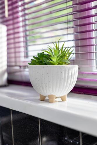 a plant in a white bowl on a window sill at Newly Refurbed 5 Bed House for Contractors, Families & Relocation- Cosely Wolverhampton in Coseley