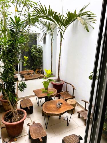 a courtyard with tables and potted plants and trees at La Maison des Couleurs in Dakar