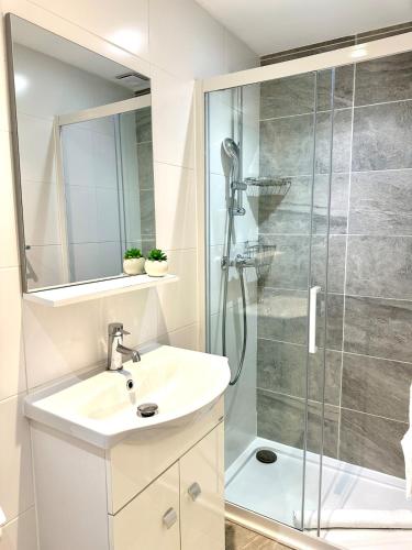 une salle de bain avec un lavabo et une douche dans l'établissement Harmonie Nature au cœur de Nice, à Nice