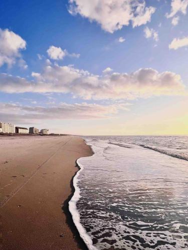 Photo de la galerie de l'établissement Cosy et lumineux, à Neufchâtel-Hardelot