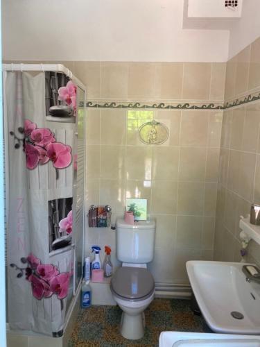 une salle de bain avec toilettes et lavabo dans l'établissement Chambre, terrasse , salle de bains toilettes privé, à Valensole