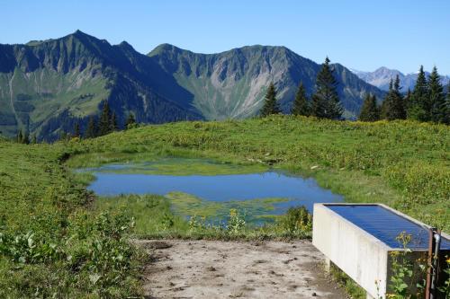 a pond on a hill with mountains in the background at Ferienhaus Rain in Innerlaterns