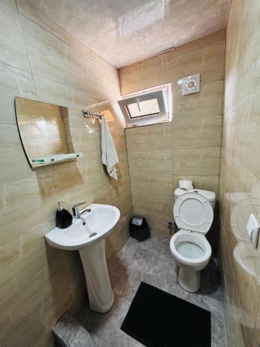a bathroom with a sink and a toilet at Uplistsikhe guest "Paluma" in Kʼvakhvreli