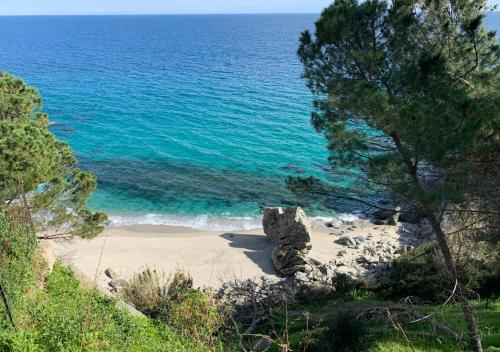 Φυσικό τοπίο κοντά σε αυτό το διαμέρισμα