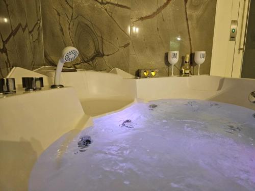 a bathroom with a bath tub with a shower at Florence Colonna Spa in Florence