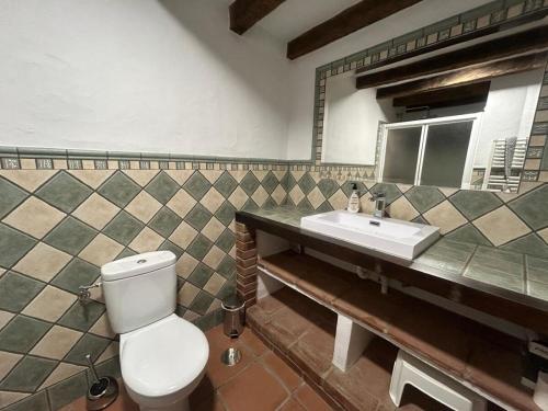 a bathroom with a toilet and a sink and a mirror at Casa Gómez in Gaucín