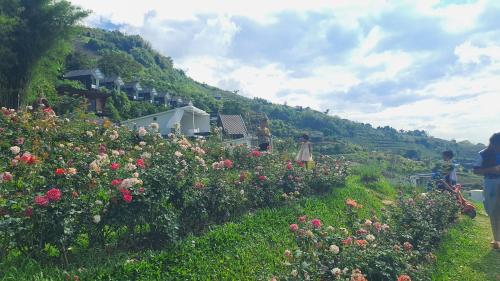 a group of people standing in a field of flowers at ม่อนเหนือโฮมสเตย์ Monnuea Homestay in Mon Jam