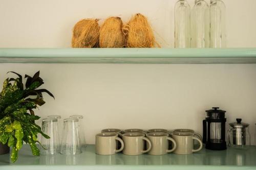 a shelf with a bunch of cups on it at Water's Edge Villa in Ahangama