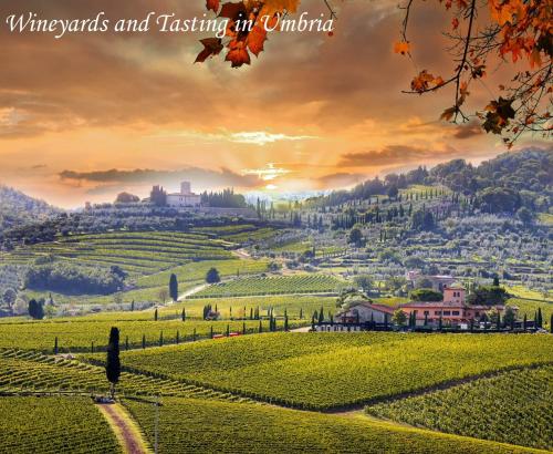 a view of a vineyards and tasting region in ontario at Casa Vecchia, house with private pool and air conditioning in Toscolano