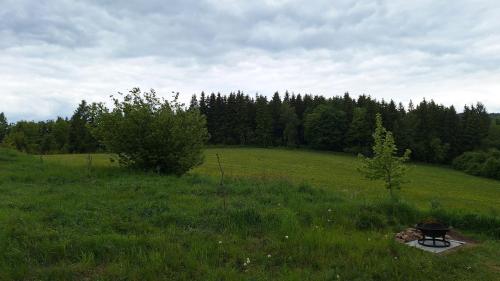 a grill in the middle of a field at Chata Luční in Klíny