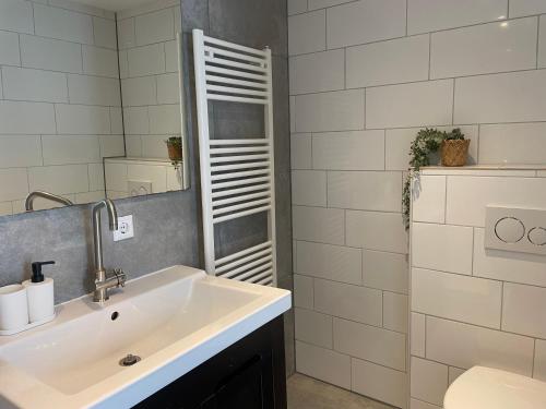 a bathroom with a sink and a mirror at Aan de Wiericke in Driebruggen