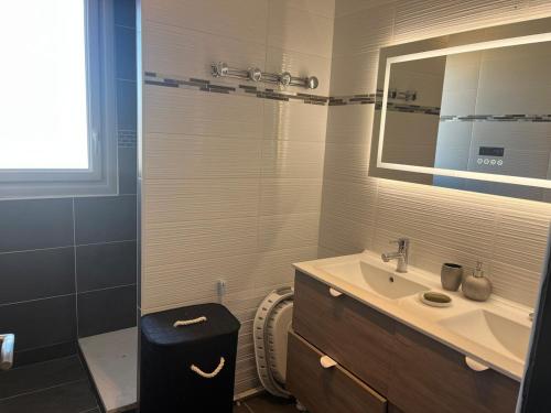 une salle de bain avec un lavabo et un miroir dans l'établissement Appartement festival avignon, à Avignon