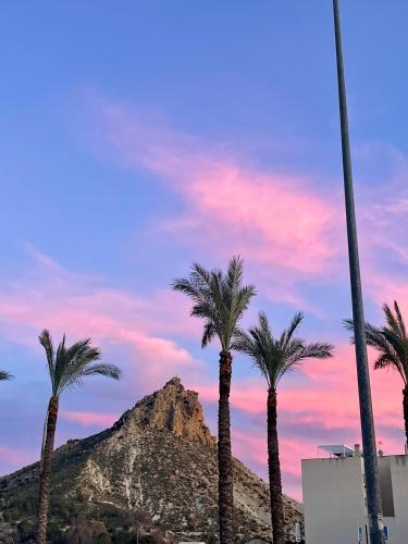 a group of palm trees in front of a mountain at Spa and wellness holiday in Villanueva de Río Segura