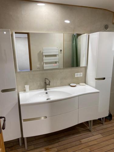 une salle de bain avec un lavabo et un réfrigérateur dans l'établissement T2 bala, à Porto-Vecchio