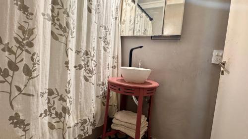 a bathroom with a sink and a shower curtain at Departamento Suite del Teatro in La Plata