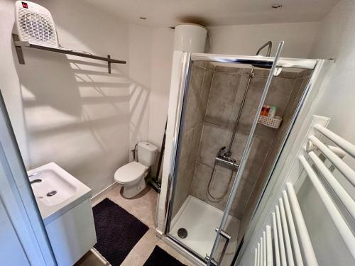 une petite salle de bain avec douche et toilettes dans l'établissement Studio Fréjus, à La Celle-sous-Gouzon
