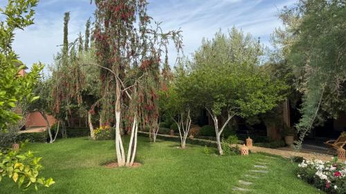 a garden with trees with red leaves and green grass at Dar Tidyan - Maison d'hôtes in Igzi Ou Fella