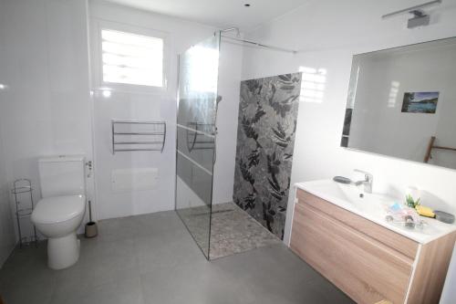 a bathroom with a shower and a toilet and a sink at Résidence Fleur de Café - Villa 2 - La Désirade in Deshaies