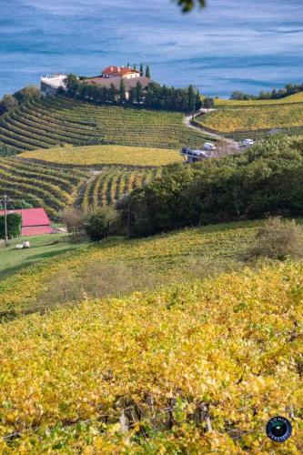 a field of flowers with a house on a hill at Etxeberria in Zarautz