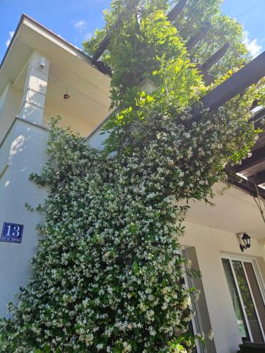 Un jardín fuera de VanjAna