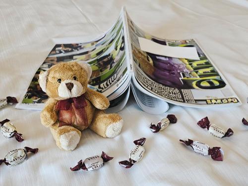 a stuffed teddy bear sitting next to a magazine at Arvena Park Hotel in Nürnberg