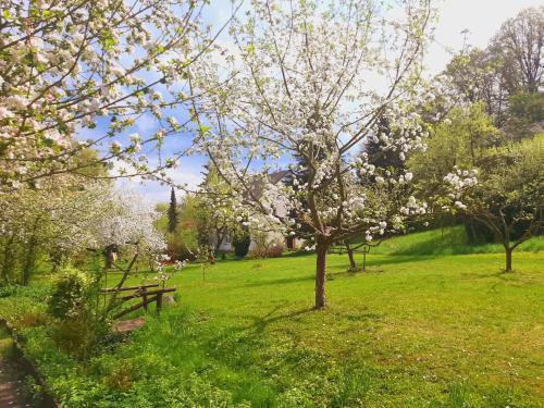 O grădină în afara Die Malche Gäste und Tagungshaus 16