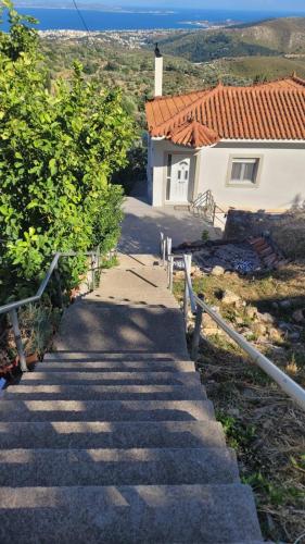 Virginia 's Vila Karies Chios