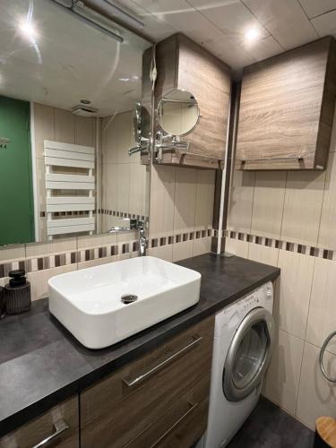 ein Badezimmer mit Waschbecken und Waschmaschine in der Unterkunft Charmant appartement au coeur de la ville in La Rochelle