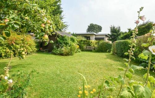 einen Hof mit einem Apfelbaum und einem Haus in der Unterkunft Michael, Vakantiehuisje aan zee in De Haan