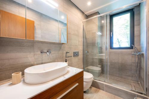 Un baño con lavabo, ducha e inodoro. en Filerimos Panorama Villa, en Pastida