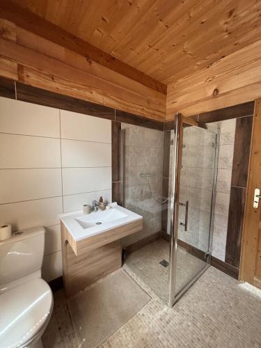 une salle de bain avec toilettes, douche et lavabo dans l'établissement Duplex - forêt de Rambouillet, à Gambaiseuil
