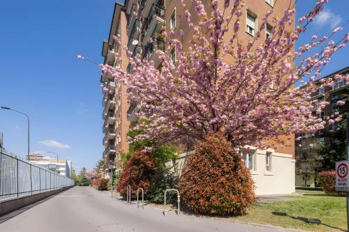 San Siro Arty and Cute Room - homestay con bagno privato