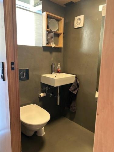 a small bathroom with a toilet and a sink at Charming Apartment in Strendur Faroe Islands, with Stunning Seaview in Strendur