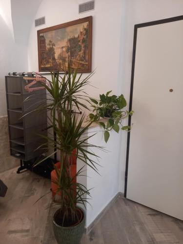 une chambre avec deux plantes en pot à côté d'une porte dans l'établissement 20 rue longue, à Menton